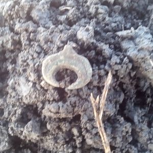 IMG_20170227_115541