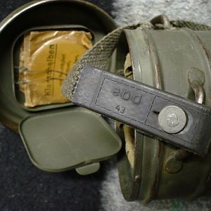 31
