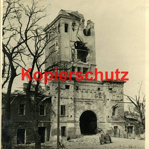 Fotografii_3702317_25245521