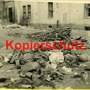 Fotografii_3715978_25245545