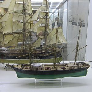 IMG_6484