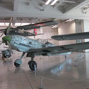 IMG_6543
