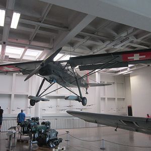 IMG_6545