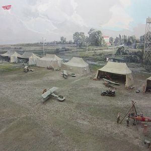 IMG_6550