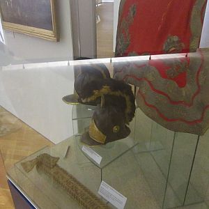 IMG_6656