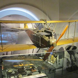 IMG_6729