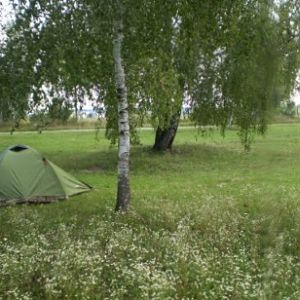 P8269296-98.м