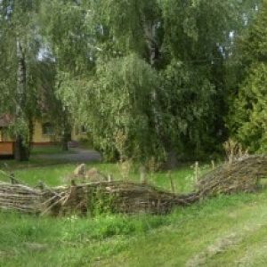 P8269299-303.м