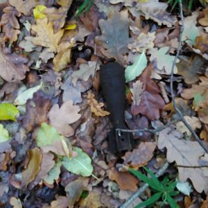 IMG_20171105_133142