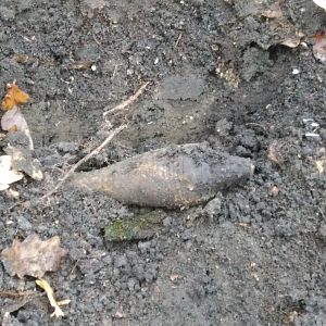 IMG_20171105_134221