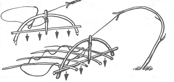 Ловушка на фазана своими руками чертежи и размеры