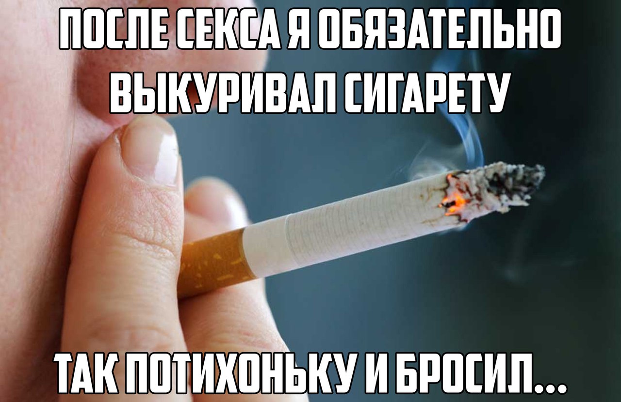 Люблю пить и курить. Смешные сигареты. Прикольные картинки с сигаретами. Приколы про курящих. Приколы про сигареты.