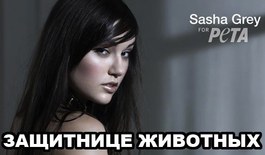 Саша грей текст. Маринка Саша грей актриса. Саша грей исполнилось 28 лет.